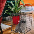 thumbnail image 3 of ifundom 1Pc Foldable Black Cat Cage for Pets Rust Resistant with Transparent View Suitable for Small Cats, 3 of 7