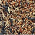 thumbnail image 1 of TASC HARDGOODS mangeoire pour les oiseaux graines, 1 of 2