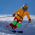 thumbnail image 4 of Skiing Protective Gear Knee Pads: Cactus And Bear Pattern Knee Pads Suitable For Both Snowboarding And Skiing., 4 of 6