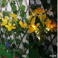 thumbnail image 4 of TIMIFIS Decorative Lights Solar Flower Lights Outdoor, Solar Flowers Garden Decorative Lights LED Stake Lights Auto On/Off Bright up to 8 Hrs Lighting & Ceiling, 4 of 5