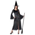 thumbnail image 1 of Adult Classic Wicked Witch Costume, 1 of 1