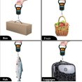 thumbnail image 4 of Balance à Poisson Numérique avec Règle et Prise, Balance à Poisson Suspendue Portable 110 Lb/50 kg, Pèse-Personne pour Bagages, Fonctions Multiples, 4 of 5
