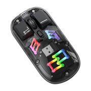 Rbaofujie Wireless Bluetooth Mouse Transparent Wireless Mouse 2.4G/Bluetooth 5.0 2-mode Connection TYpe-c Rechargeable Mouse Standard Magnetic Design RGB Lighting Gaming Mouse Wireless