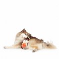thumbnail image 2 of One Paw, Hedgehog Tug Dog Toy, 10 inches, 2 of 7