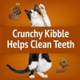 thumbnail image 4 of Friskies Party Mix Croquant Amateurs de Poulet Gâteries pour Chats, 4 of 9