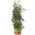 thumbnail image 1 of Hydrofarm GCTB Tomato Barrel Pot Garden Planting 4 Foot Trellis System (2 Pack), 1 of 4