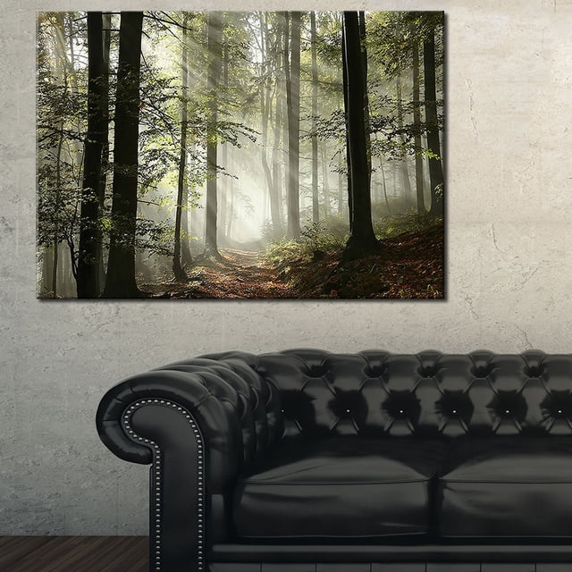Tableau moderne imprimée sur toile Design Art Lumière en foret
