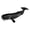 Sperm Whale D, variant on Tachiuwa Action Figures Hand-Painted Shark Sea Life Marine Toys Decorative Gifts Sperm D