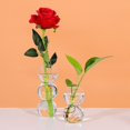 thumbnail image 4 of jifeng Glass Flower Vase Wooden Stand Terrarium Container Air Plant Bulb 2 Balls, 4 of 7
