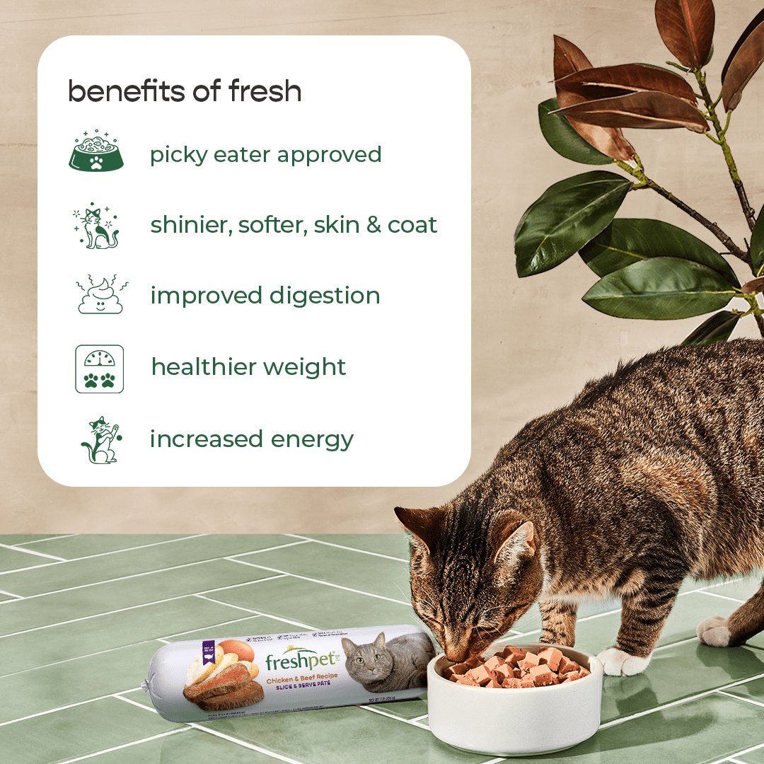 Freshpet Nourriture fraîche pour chats, Pâté en rouleau à trancher et à servir, Recette au poulet et au bœuf, 454 g.