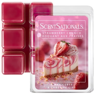 Cubes de cire parfumée ScentSationals - Croquant aux fraises