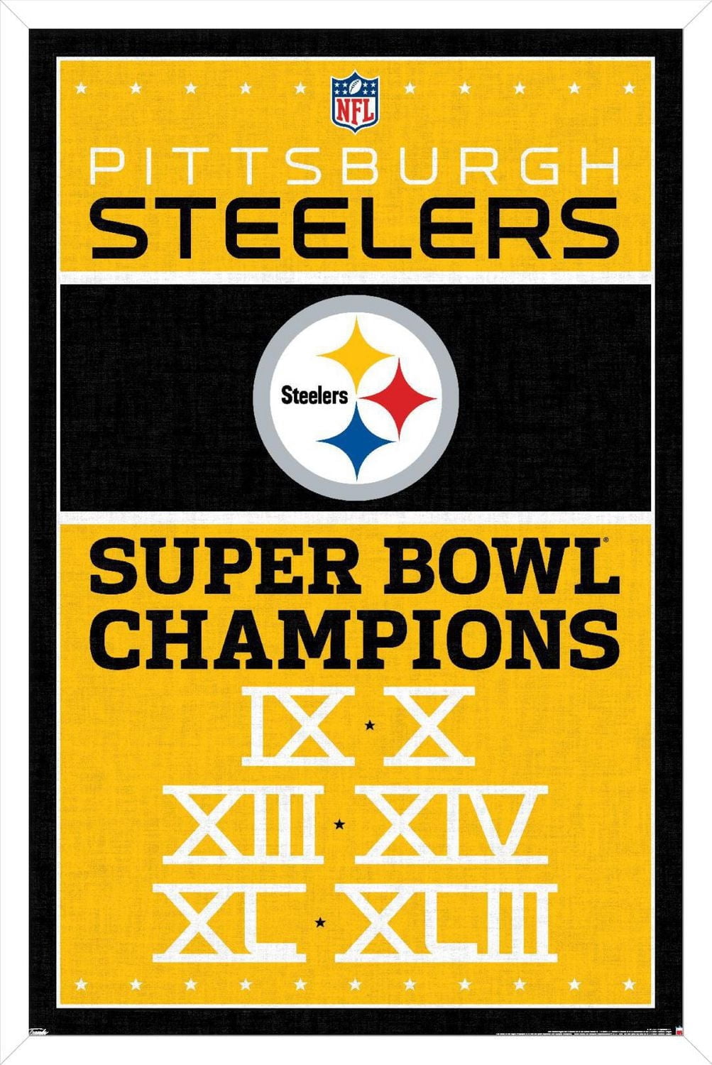NFL Pittsburgh Steelers - Champions 13