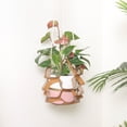 thumbnail image 2 of Agiferg Leather Flower Pot Tray Multi-Level Plant Hanging Basket Hanging Pot Hanger, 2 of 2