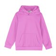 thumbnail image 3 of Chandail à Capuchon pour Bébé Fille en Liquidation, Col Rond, Coupe Ample, Chandail à Capuche, Mode pour Enfants, Manches Longues, Haut à Enfiler, 4-14 Ans, pour Filles et Garçons, Chandails à Col Rond pour Bébé, Roses, 13T, 3 of 6