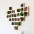 thumbnail image 1 of Artificial Flower Succulent Plant Hanging Wall Art Frame Living Room Home Decor, 1 of 8
