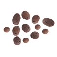thumbnail image 3 of Hydroponic Clay Pebbles Growing Media  Drainage Water Purification Vase Balls Expanded Clay Pebbles Bonsai Decor, 3 of 8