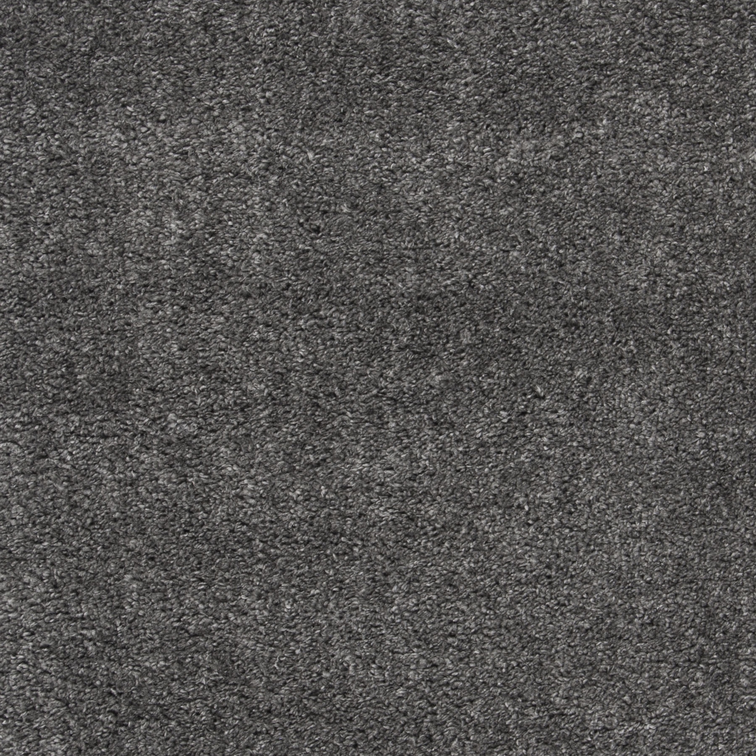 SAFAVIEH August Carlene Tapis Peluche Shag