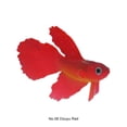 thumbnail image 2 of Thinsony Poissons Rouges Artificiels Lumineux pour Aquariums Tan Rouge 1Set, 2 of 6
