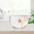 thumbnail image 4 of MasteelfCA 4pcs Mini Plastic Fish Tank Household Goldfish Tank Fish Bowl Aquarium Tank Clear Fish Tank, 4 of 8