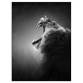 thumbnail image 2 of Design Art - Lion Exposant des Dents, 2 of 4