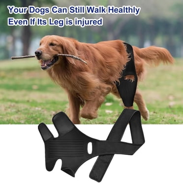 Visland Pet Recovery Belt Dog Leg Brace Protective Dog Knee Hip Brace Easy to Install Supportive Dog Leg Wrap Pet Supplies