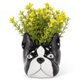 thumbnail image 3 of Abbott Collection AB-27-MINIKIN-068-LG 4.2 in. Dog Head Planter, Black & White - Large, 3 of 3