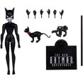 thumbnail image 2 of DC Direct The New Batman Adventures 6 Inch Action Figure Wave 2 - Catwoman, 2 of 2
