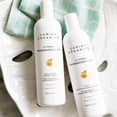 thumbnail image 2 of Carina Organics Citrus Shampoo (Daily Moisturizing) 360ml, 2 of 3