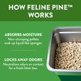 thumbnail image 3 of Arm & Hammer Feline Pine Non-Clumping Natural Cat Litter, 9.07 kg, 3 of 6