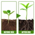 thumbnail image 4 of Czzoypi Rooting Powder, Rooting Hormone for Cuttings, Rooting System Nutrient Powder for Growth, Fast Root Development for Trees Fruit Trees Indoor Outdoor Plants, 4 of 7