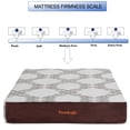 thumbnail image 5 of ViscoLogic Aspire 10-Inch Orthopedic Luxury Gel Memory Foam Twin Size Mattress With Free Egyptian Bedsheet Set  (Twin Mattress in a Box), 5 of 5