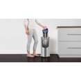 thumbnail image 2 of Aspirateur vertical Origin DC33 de Dyson, 2 of 5