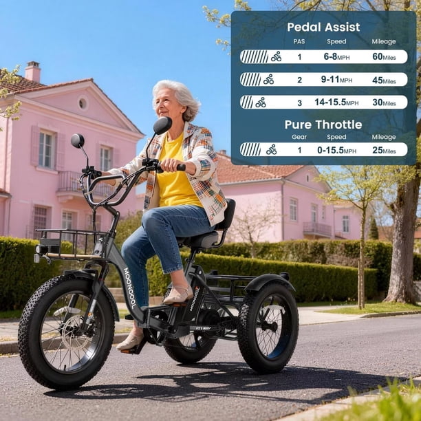 Tricycle électrique Adulte 7 Vitesses – Pneus 24x4 Pouces, Batterie 48V 18Ah, Autonomie 96 Km, Panier, LCD, Noir