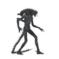 thumbnail image 3 of Alien Romulus 7 Inch Action Figure Ultimate - Xenomorph XX121, 3 of 6