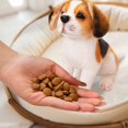thumbnail image 4 of QIPOPIQ Puppy Plush Toy, Dog Stuffed Toy, 4 of 6