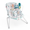 thumbnail image 1 of Fisher-Price Siège Sauteur de Base – Galet, 1 of 9