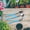 Outils de Plantes Mignons Moins de 5 $ a3, variante sur Cagogo 4 Pcs Mini Outils de Jardin, Ensemble de 3 Pcs d'Outils de Jardinage pour Plantes d'Intérieur, Truelle Manuelle en Acier Inoxydable pour Repiquage et Culture, Petits Outils Manuels pour Fleurs en Pot, Succulentes, Jardinage d'Herbes