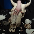 thumbnail image 4 of MasteelfCA 5Pcs Delicate Halloween Fake Finger Covers Party Cosplay Long Fake Nail Covers, 4 of 8