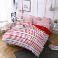 thumbnail image 1 of Innerwin Quilt Sets Printed Coverlet Set 3 Pieces Christmas Comforter Bedspread Lightweight Microfiber Breathable Ultra Soft Decor Style D Twin, 1 of 1