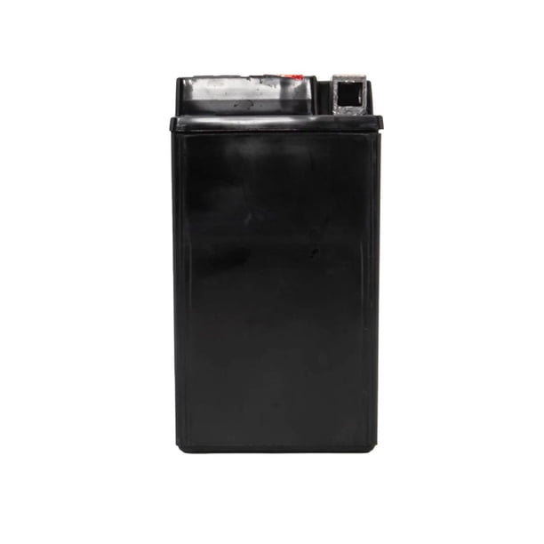 EverStart PowerSport ES20LBS, 12 Volt, Power Sports Battery, 270