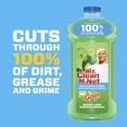 thumbnail image 2 of Mr. Clean Nettoyant Multi-Surface, Gain Parfum Original, 1.21L, 2 of 6