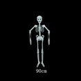 thumbnail image 2 of Décoration de Fête d'Halloween Squelette Humain Posable 32/90/150cm, 2 of 4