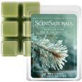 thumbnail image 1 of Cubes de cire parfumée ScentSationals - Pin Vanille, 1 of 6