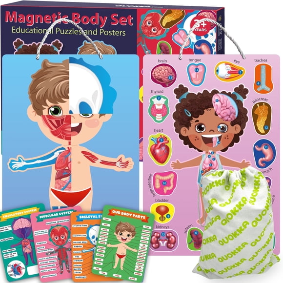 QUOKKA Casse-Têtes Magnétiques pour Enfants de 3 à 5 Ans en Sac – Casse-Têtes Montessori pour Tout-Petits de 2 à 4 Ans – Jeu pour Apprendre l'Anatomie du Corps Humain, Système Circulatoire, Système Musculaire