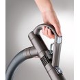 thumbnail image 2 of Dyson DC37 Turbinehead Animal Vacuum Cleaner, 2 of 5