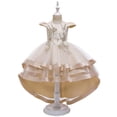 thumbnail image 2 of Robe Enfant Fille Sans Manches Robe Princesse Broderie Robe Queue Fleur Jupe Tutu Jupe Robe en Tulle Canoniques, 2 of 9