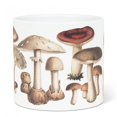 thumbnail image 1 of Grand Pot Botanique en Forme de Champignon, 1 of 5