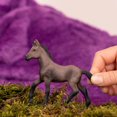 thumbnail image 2 of Schleich Poulain Paso Péruvien, 2 of 5