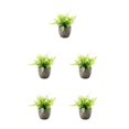 thumbnail image 1 of Decodeary Green Eco-friendly Artificial Money Tree In Pot Long-lasting Durability Realistic Appearance white rose 5Set, 1 of 6