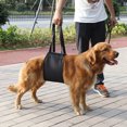 thumbnail image 1 of Dog Lifting Harness, Easy To Use Black Dog Dog Support, 4 Sizes For Dogs For Canines Aid, 1 of 8